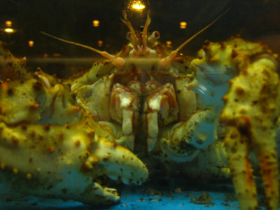 Crab at a Chinese Restaurant
