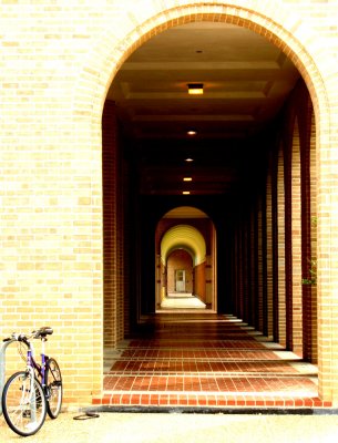Arches - Rice University