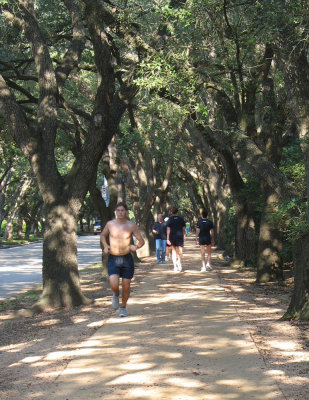 The hedges and path that surround Rice