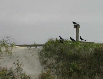 Sunset Beach, NC