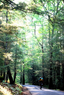 bike rider in cades cove