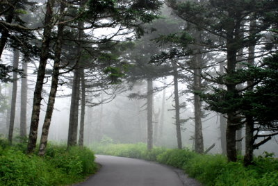Clingman's Dome