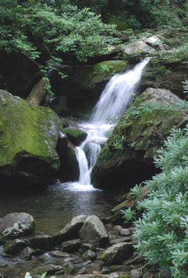 Near Grotto Falls