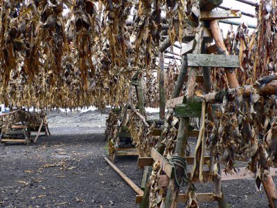 Fish drying racks