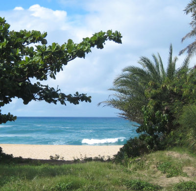 Secluded Beach