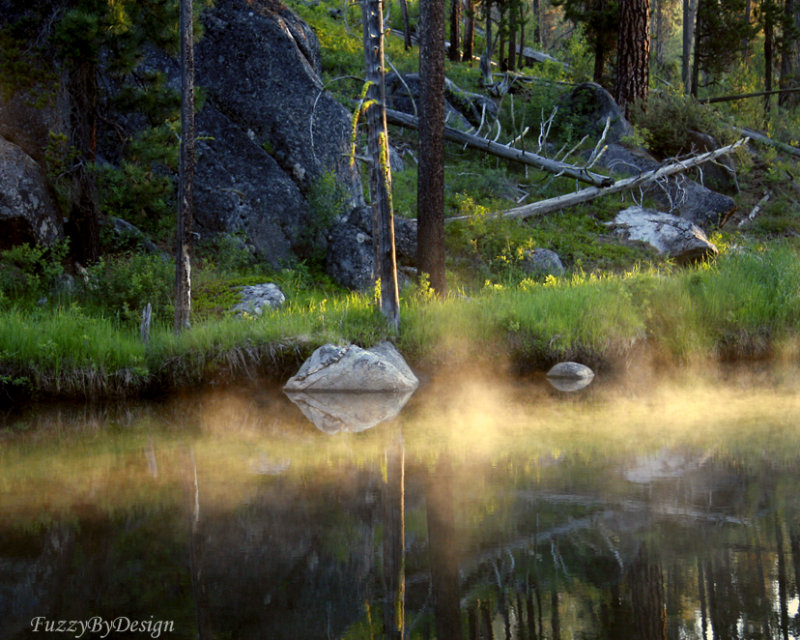 IMG_4058 Gold Creek   Sunrise Morning Mist  June 07