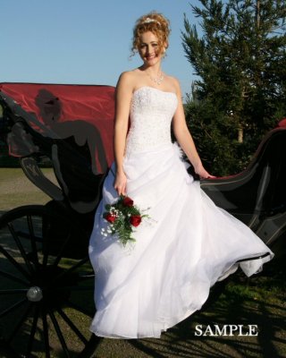sample 1 024 Bridal Fair Model Bride Rowyn