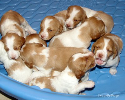 006 eyes open and playful day 19