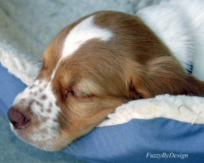 DSC01101 zzzzz