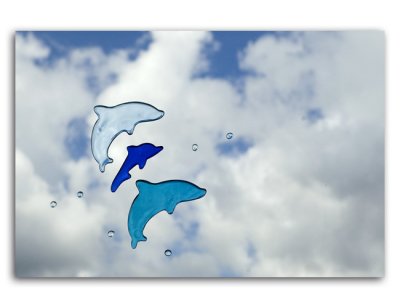 Dolphins in the sky