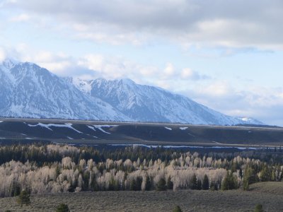 Tetons