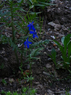 g6/30/10430/3/81758754.V0gSANry.jpg