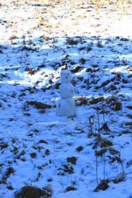 Melting Snowman (img_4640e.jpg)