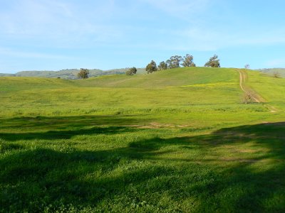 P1020164.JPG