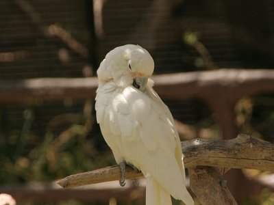 Santa Barbara Zoo