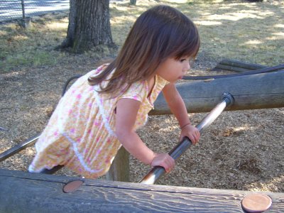 Climbing the monkey bars