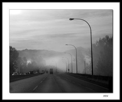 Foggy morning on the way to work