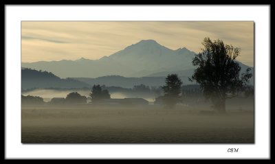 Morning mist -  Mount Baker