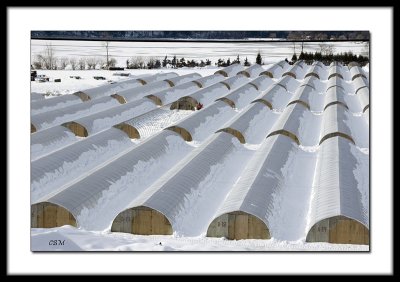 Winter Greenhouses