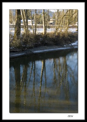 Along the river