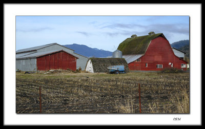 Red barn #39