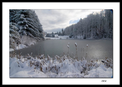 05161 (net).jpg
