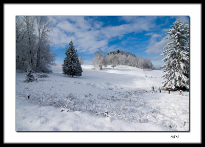 05167 (net).jpg