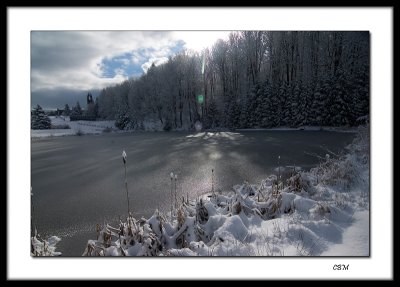 05168 (net).jpg
