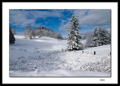 after the snow