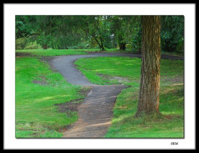 Park light