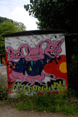D803785.jpg