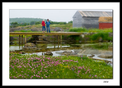 Girls on a bridge