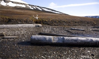 These notched logs were possibly once part of a Siberian isba.