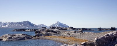 The Horsund fjord system on the west coast of Spitsbergen attracts bears, foxes, and photographers.