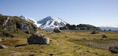 High summer in the high Arctic