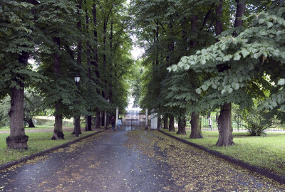 The Queen's Park, behind the palace