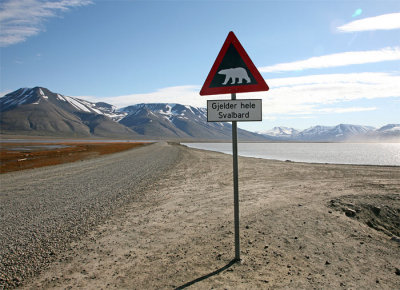 Beware of bears in all of Svalbard.