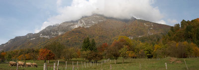 Rural Italy in Autumn