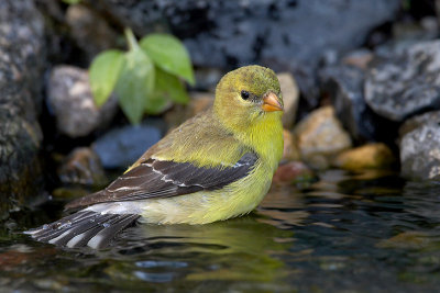 Cooling Off