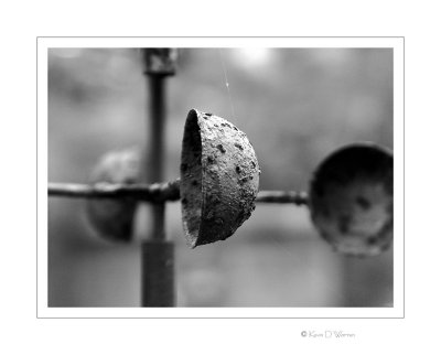Slow Lane