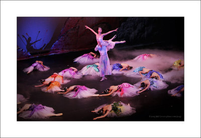The Butteryfly Lovers - Shanghai Ballet