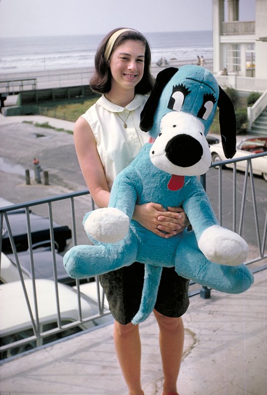 summer 1961