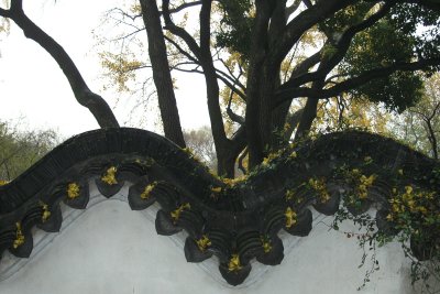 Chine-suzhou-0820061129.JPG