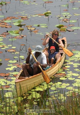 Paddlers