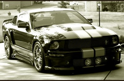 Mustang; Eleanor