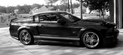 Mustang, Eleanor