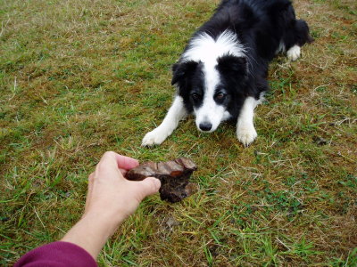 What Holly enjoys the most! AM 142.jpg