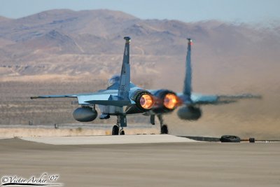 Nellis1324.jpg