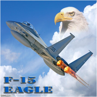 F-15 Eagle.jpg