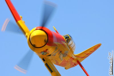 PRSS1252.jpg